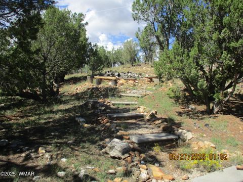 Tiny photo for 1864 Little Doe Trail, Heber, AZ 85928 (MLS # 258191)
