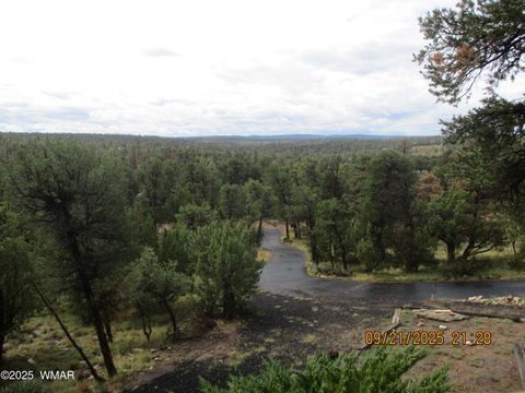 Tiny photo for 1864 Little Doe Trail, Heber, AZ 85928 (MLS # 258191)