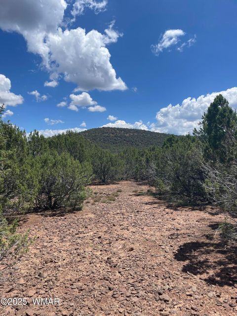 Photo of 34 County Rd 3323, Vernon, AZ 85940 (MLS # 255265)