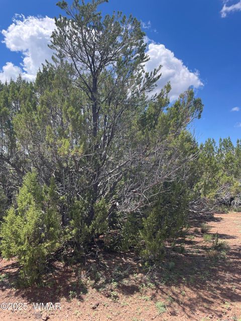 Tiny photo for 34 County Rd 3323, Vernon, AZ 85940 (MLS # 255265)