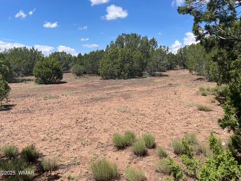 Tiny photo for 34 County Rd 3323, Vernon, AZ 85940 (MLS # 255265)