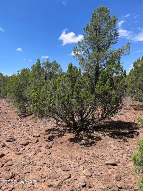 Tiny photo for 34 County Rd 3323, Vernon, AZ 85940 (MLS # 255265)