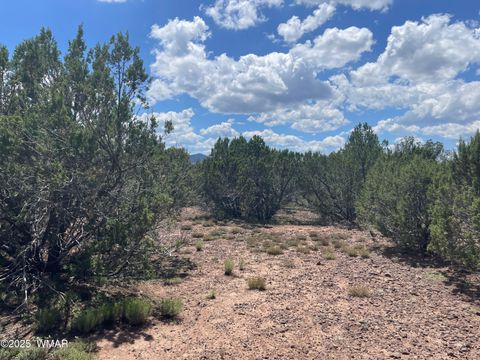 Tiny photo for 34 County Rd 3323, Vernon, AZ 85940 (MLS # 255265)