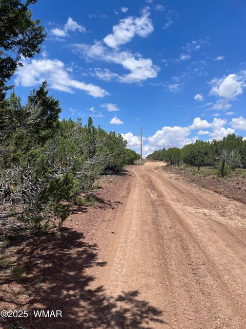 Tiny photo for 34 County Rd 3323, Vernon, AZ 85940 (MLS # 255265)