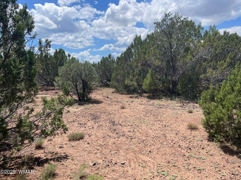 Tiny photo for 34 County Rd 3323, Vernon, AZ 85940 (MLS # 255265)
