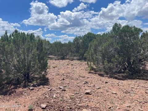 Tiny photo for 34 County Rd 3323, Vernon, AZ 85940 (MLS # 255265)