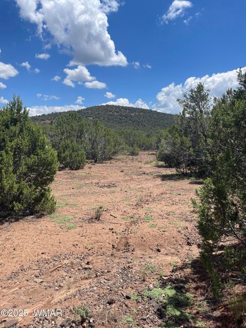 Tiny photo for 34 County Rd 3323, Vernon, AZ 85940 (MLS # 255265)