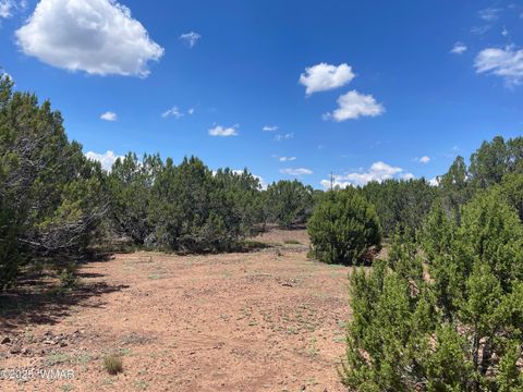 Tiny photo for 34 County Rd 3323, Vernon, AZ 85940 (MLS # 255265)
