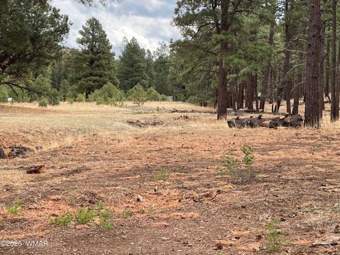 Tiny photo for TBD County Road N2276, Nutrioso, AZ 85932 (MLS # 257125)