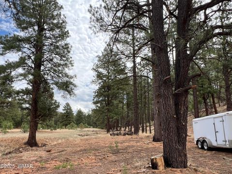 Tiny photo for TBD County Road N2276, Nutrioso, AZ 85932 (MLS # 257125)