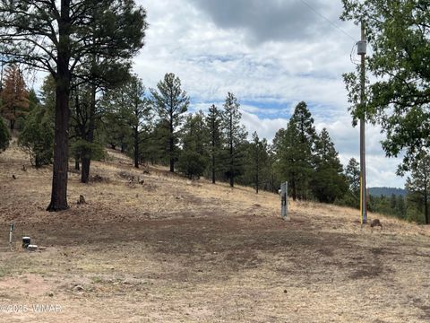Tiny photo for TBD County Road N2276, Nutrioso, AZ 85932 (MLS # 257125)