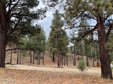 Photo of TBD County Road N2276, Nutrioso, AZ 85932 (MLS # 257125)
