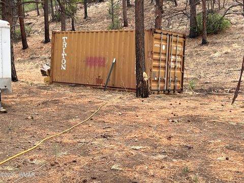 Tiny photo for TBD County Road N2276, Nutrioso, AZ 85932 (MLS # 257125)