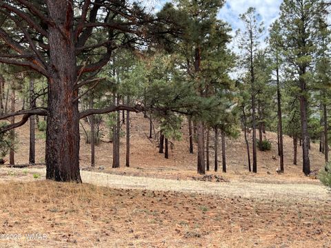 Tiny photo for TBD County Road N2276, Nutrioso, AZ 85932 (MLS # 257125)
