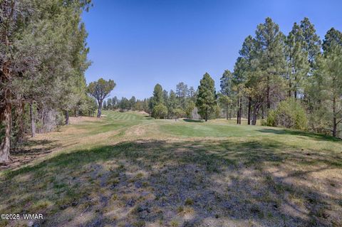 Photo of 1651 S Falling Leaf Road, Show Low, AZ 85901 (MLS # 258628)