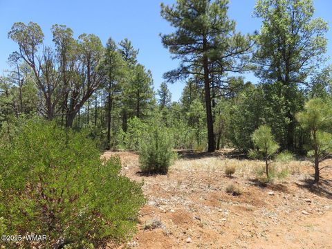 Tiny photo for 1651 S Falling Leaf Road, Show Low, AZ 85901 (MLS # 258628)