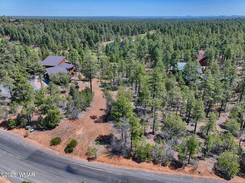 Tiny photo for 1651 S Falling Leaf Road, Show Low, AZ 85901 (MLS # 258628)
