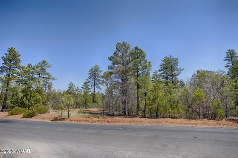 Tiny photo for 1651 S Falling Leaf Road, Show Low, AZ 85901 (MLS # 258628)