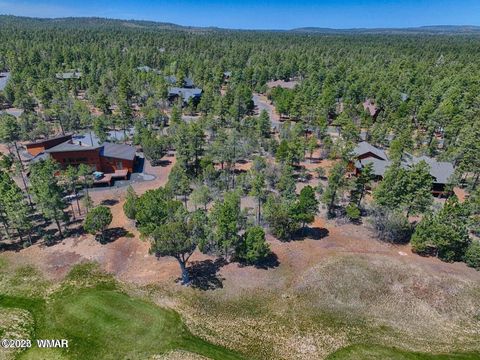 Tiny photo for 1651 S Falling Leaf Road, Show Low, AZ 85901 (MLS # 258628)