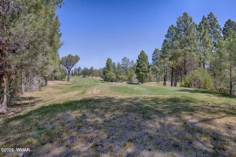 Tiny photo for 1651 S Falling Leaf Road, Show Low, AZ 85901 (MLS # 258628)