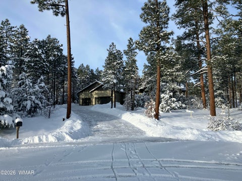 Tiny photo for 2101 S Trillium Lane, Show Low, AZ 85901 (MLS # 261132)
