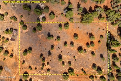 Tiny photo for XXXXX Iron Spur, Show Low, AZ 85901 (MLS # 256786)