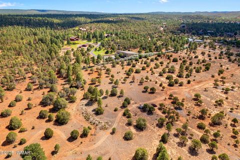 Tiny photo for XXXXX Iron Spur, Show Low, AZ 85901 (MLS # 256786)
