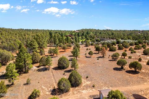 Tiny photo for XXXXX Iron Spur, Show Low, AZ 85901 (MLS # 256786)