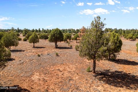 Photo of XXXXX Iron Spur, Show Low, AZ 85901 (MLS # 256786)