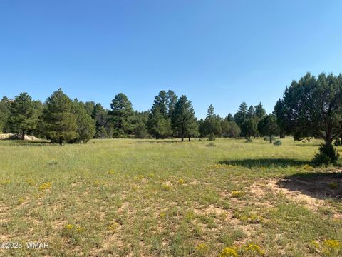 Tiny photo for XXXXX Iron Spur, Show Low, AZ 85901 (MLS # 256786)