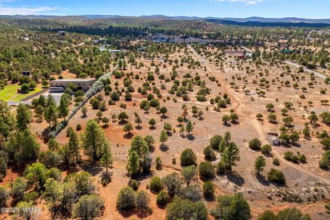 Tiny photo for XXXXX Iron Spur, Show Low, AZ 85901 (MLS # 256786)