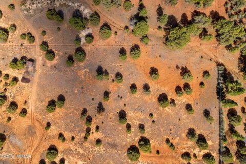 Tiny photo for XXXXX Iron Spur, Show Low, AZ 85901 (MLS # 256786)