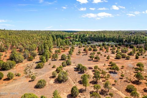 Tiny photo for XXXXX Iron Spur, Show Low, AZ 85901 (MLS # 256786)