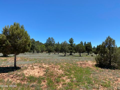 Tiny photo for XXXXX Iron Spur, Show Low, AZ 85901 (MLS # 256786)