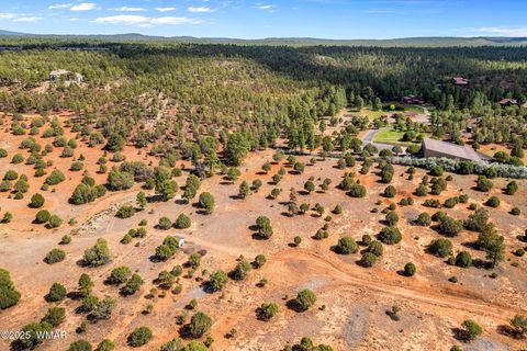 Tiny photo for XXXXX Iron Spur, Show Low, AZ 85901 (MLS # 256786)