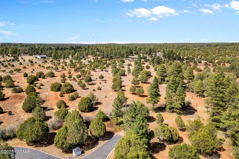 Tiny photo for XXXXX Iron Spur, Show Low, AZ 85901 (MLS # 256786)