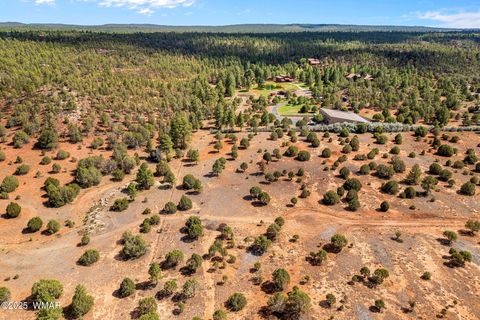 Tiny photo for XXXXX Iron Spur, Show Low, AZ 85901 (MLS # 256786)