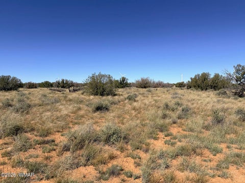 Tiny photo for Lot 19 Snowflake Ranches, Snowflake, AZ 85937 (MLS # 263523)
