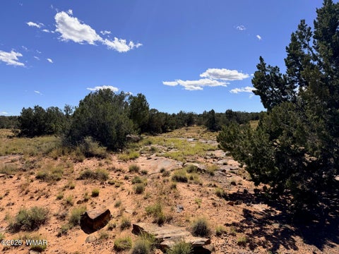 Tiny photo for Lot 19 Snowflake Ranches, Snowflake, AZ 85937 (MLS # 263523)