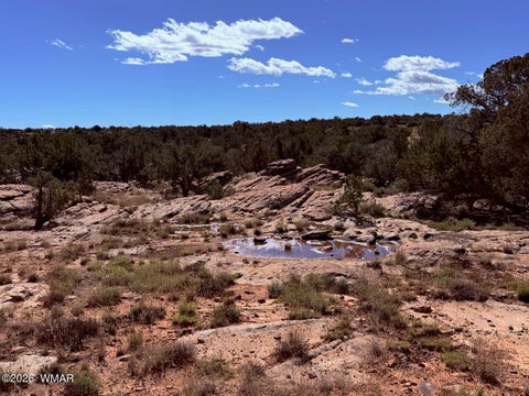 Tiny photo for Lot 19 Snowflake Ranches, Snowflake, AZ 85937 (MLS # 263523)