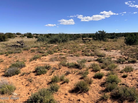 Tiny photo for Lot 19 Snowflake Ranches, Snowflake, AZ 85937 (MLS # 263523)