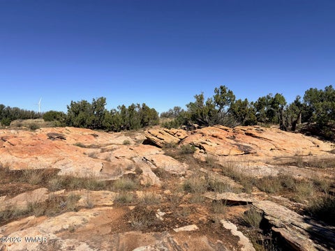 Tiny photo for Lot 19 Snowflake Ranches, Snowflake, AZ 85937 (MLS # 263523)