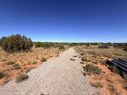 Tiny photo for Lot 19 Snowflake Ranches, Snowflake, AZ 85937 (MLS # 263523)