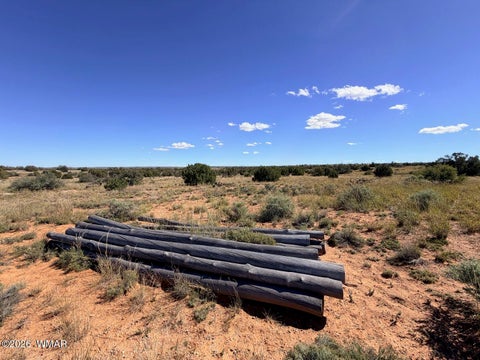 Tiny photo for Lot 19 Snowflake Ranches, Snowflake, AZ 85937 (MLS # 263523)