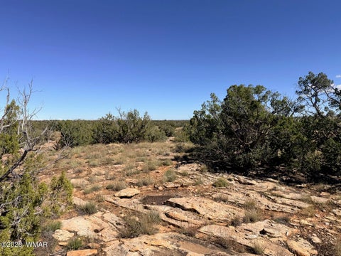 Tiny photo for Lot 19 Snowflake Ranches, Snowflake, AZ 85937 (MLS # 263523)