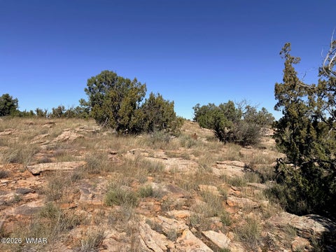 Tiny photo for Lot 19 Snowflake Ranches, Snowflake, AZ 85937 (MLS # 263523)