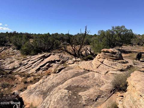 Photo of Lot 19 Snowflake Ranches, Snowflake, AZ 85937 (MLS # 263523)