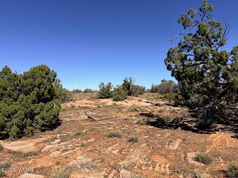 Tiny photo for Lot 19 Snowflake Ranches, Snowflake, AZ 85937 (MLS # 263523)
