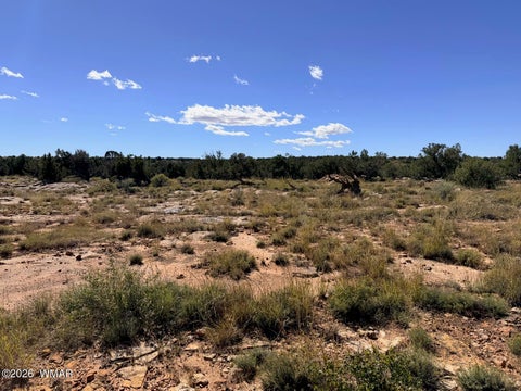 Tiny photo for Lot 19 Snowflake Ranches, Snowflake, AZ 85937 (MLS # 263523)