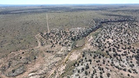 Tiny photo for Lot 19 Snowflake Ranches, Snowflake, AZ 85937 (MLS # 263523)